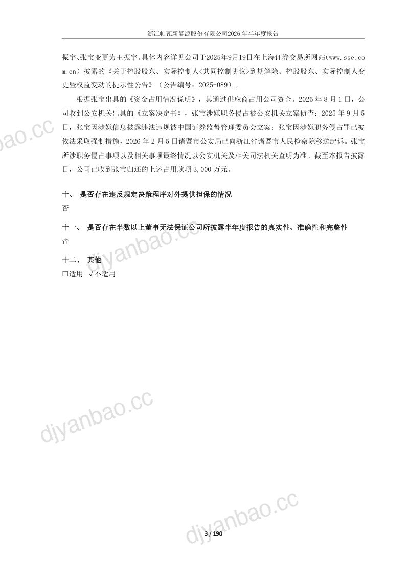 ST帕瓦:2026年半年度报告 第3页