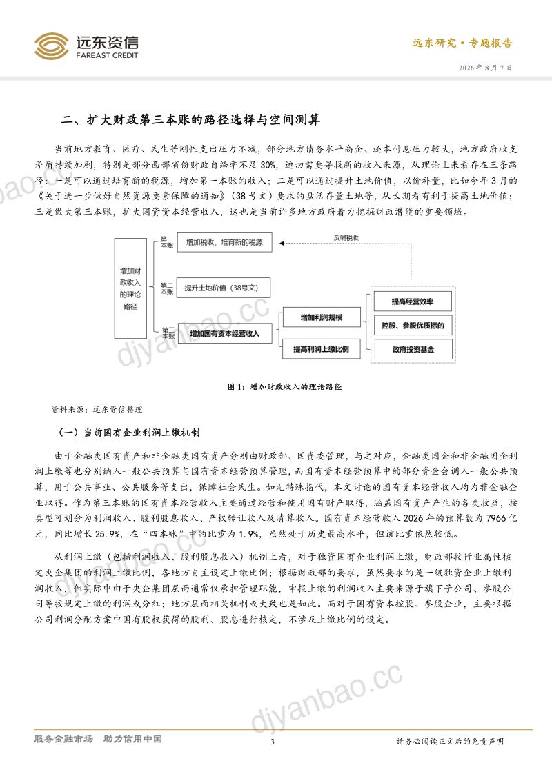 扩大地方财政第三本账的现实约束与可行路径 第3页