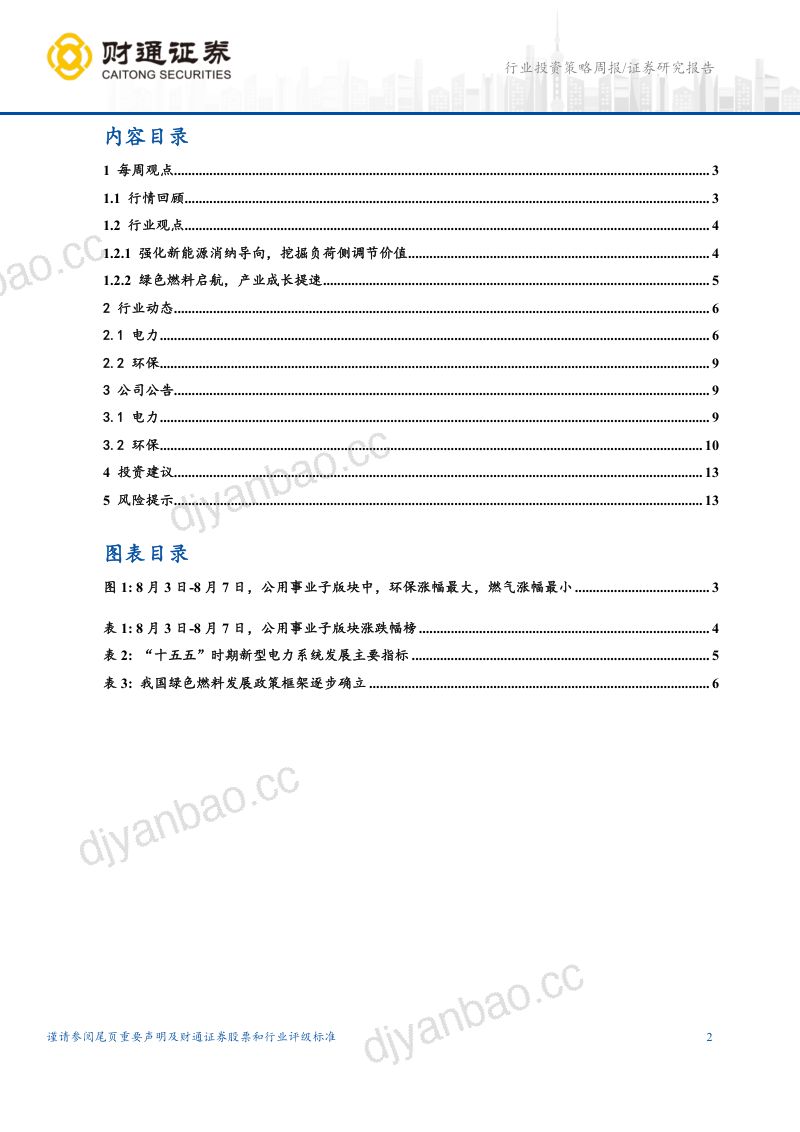 新型电力筑基，绿色燃料启航 第2页
