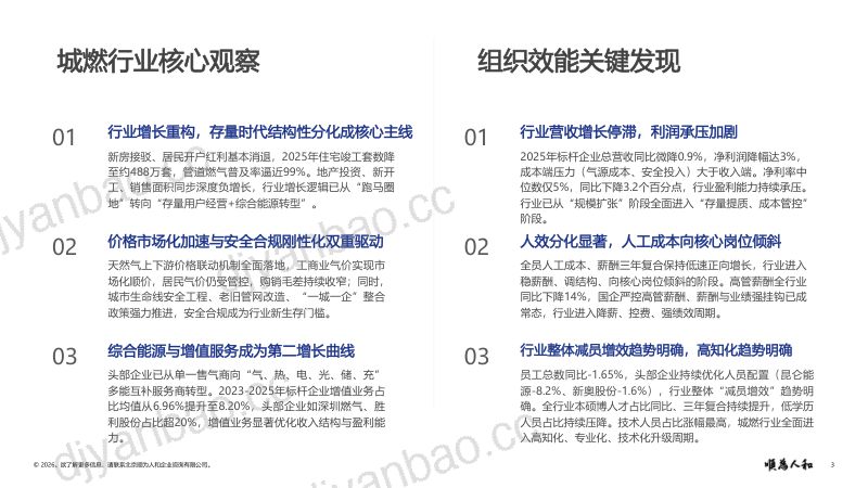 2026城市燃气标杆企业织效能报告 第3页