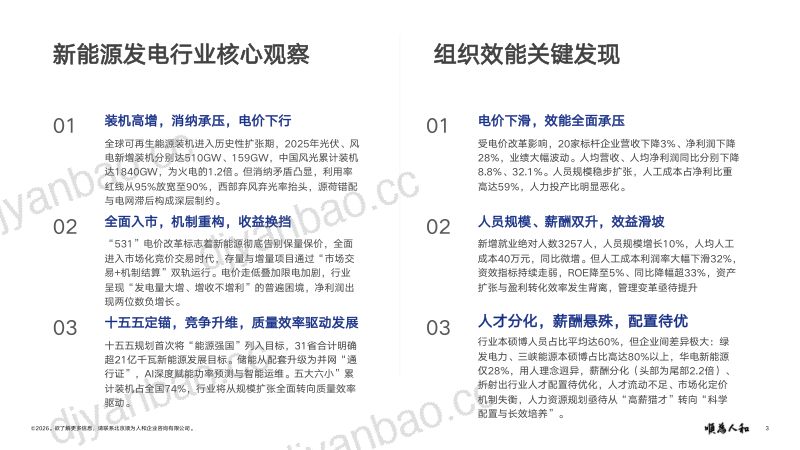 2026新能源发电标杆企业组织效能报告 第3页