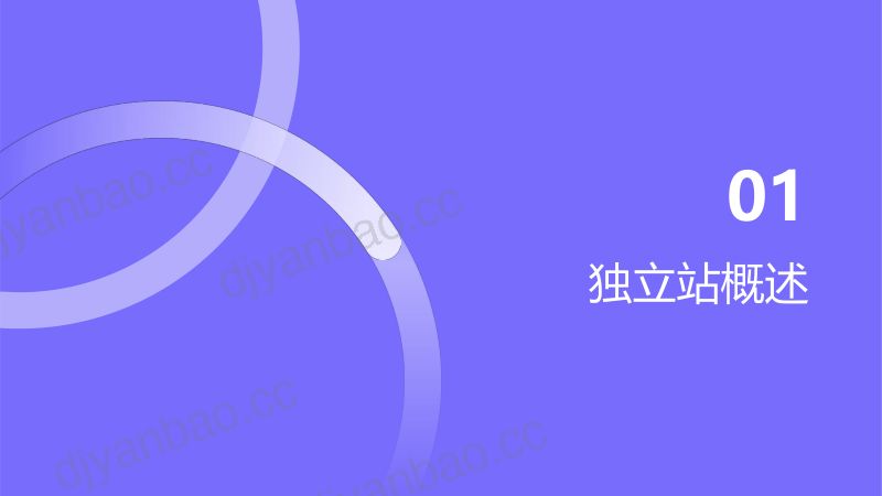 铂澜咨询：2026品牌出海独立站选品与流量增长指南（32页） 第3页