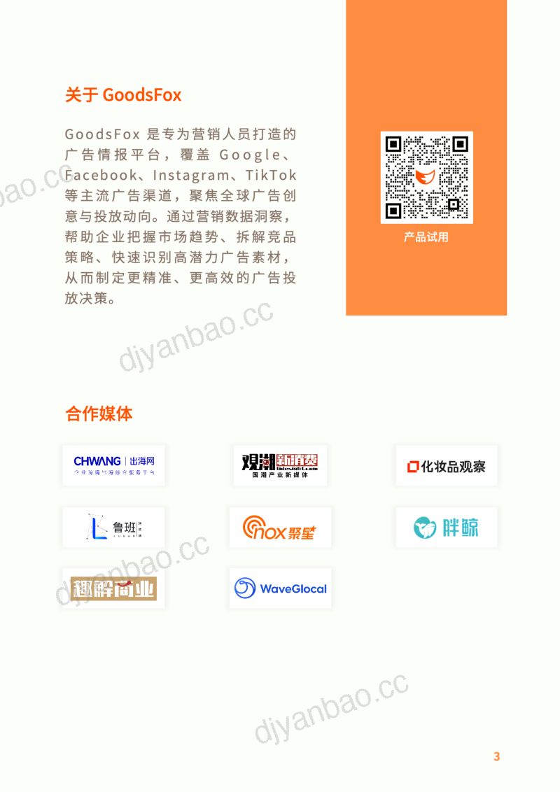 GoodsFox：2026全球DTC独立站营销洞察报告（56页） 第3页