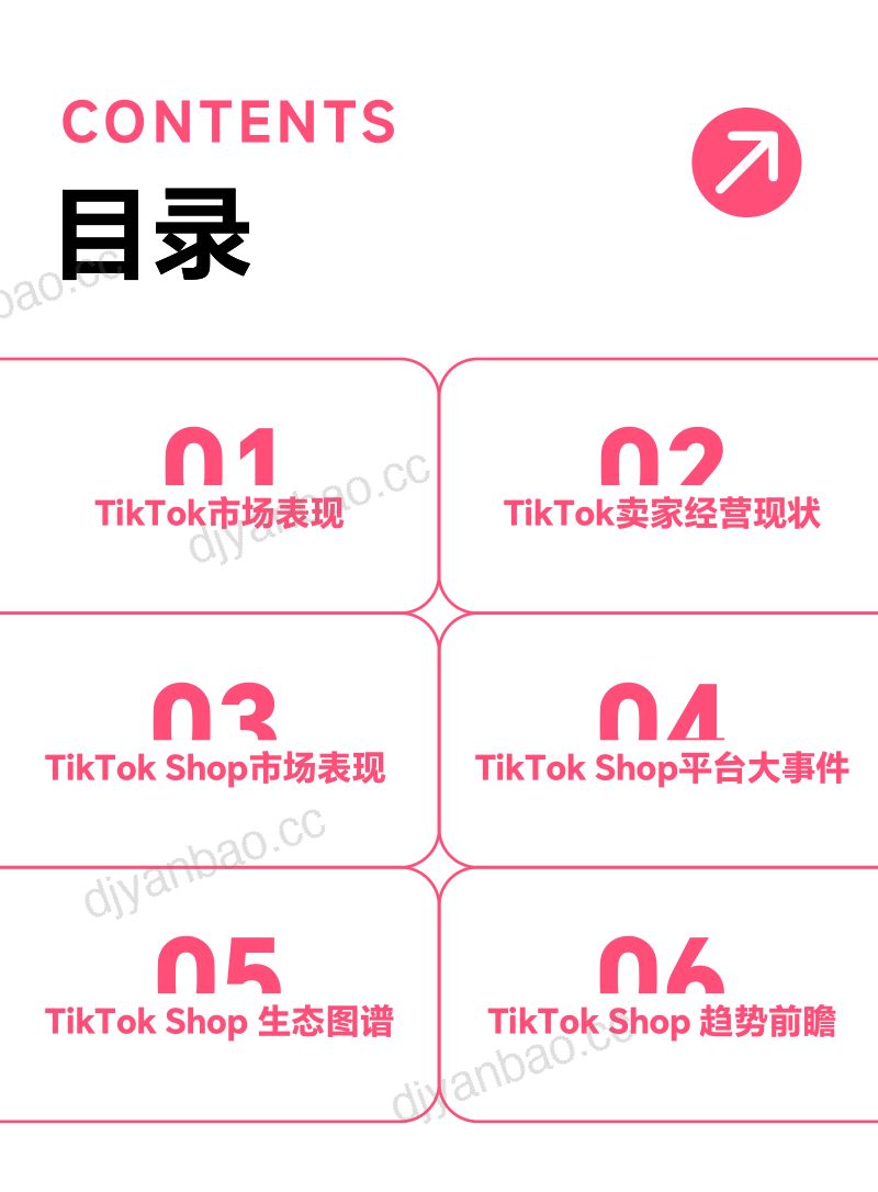 TT123：2025 TikTok Shop 年度调研报告（128页） 第3页