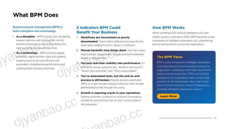 SS&C Blue Prism：2025业务流程管理自动化与流程编排采购指南（英文版）（16页） 第3页