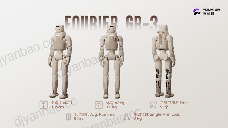 人形机器人作为可靠照顾伙伴的潜力目前技术与未来发展 第2页