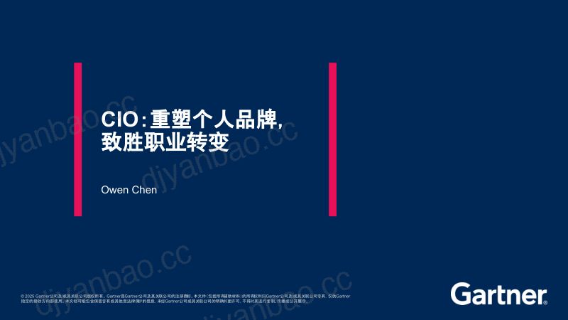 履新CIO重塑品牌制胜转变 第2页