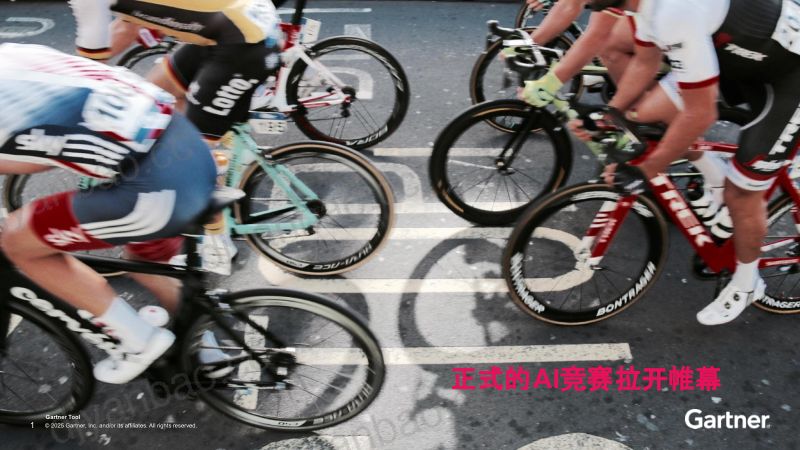 2025高管AI行动指南中国篇 第2页