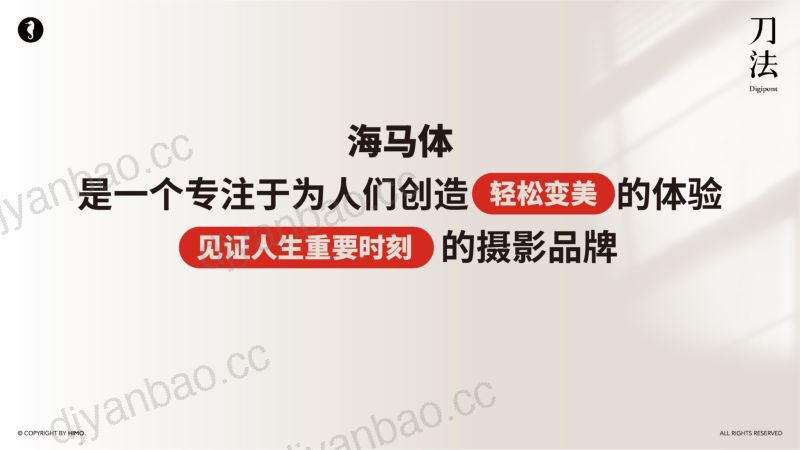 刀法峰会-海马体-叶子-年营收20亿海马体如何用细分场景持续驱动增长 第3页