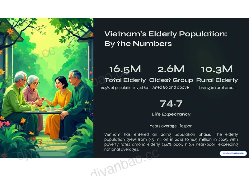 越南社会主义共和国 第2页