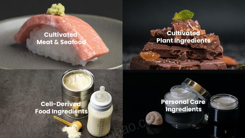 植物和动物细胞培养食品的先进工艺强化 第2页