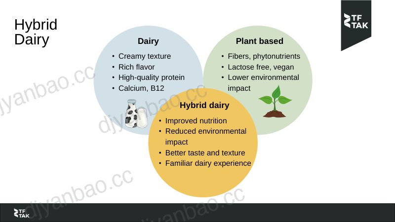 混合乳制品向更可持续食品系统的平稳过渡 第3页