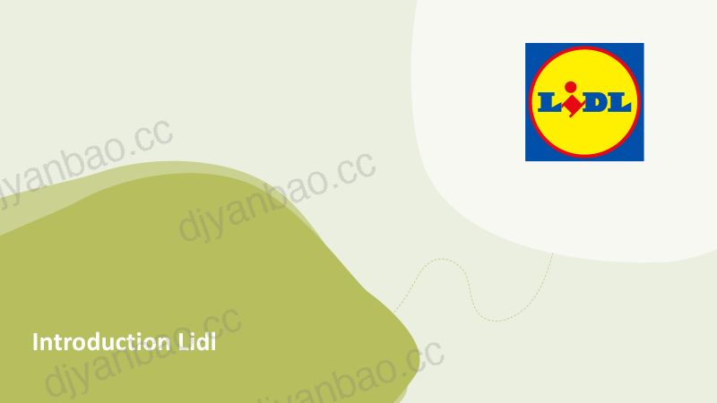 Lidl如何促进健康且可持续的饮食可负担性产品创新与饮食习惯的作用 第2页