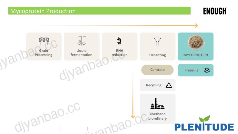 推动以分枝蛋白推动生物经济发展Plenitude项目的洞见 第3页