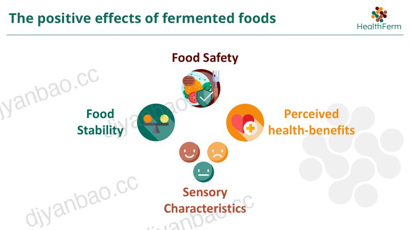HealthFerm创新的豆类和谷物基食品发酵促进人类健康与可持续饮食KristofBrijs鲁汶大学 第3页