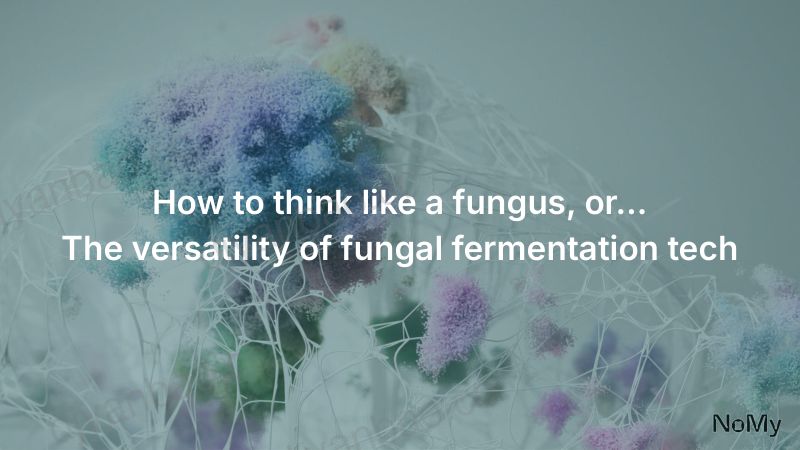 如何像真菌一样思考或者说生物质发酵技术的多样性 第3页