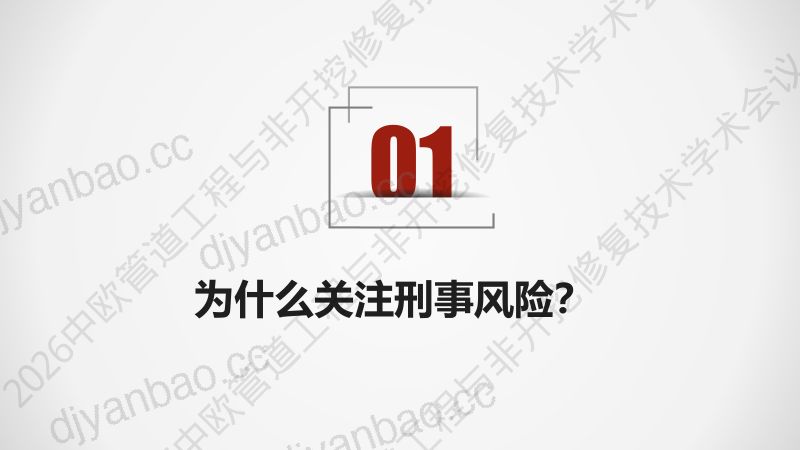 建设工程领域常见刑事法律风险 第3页