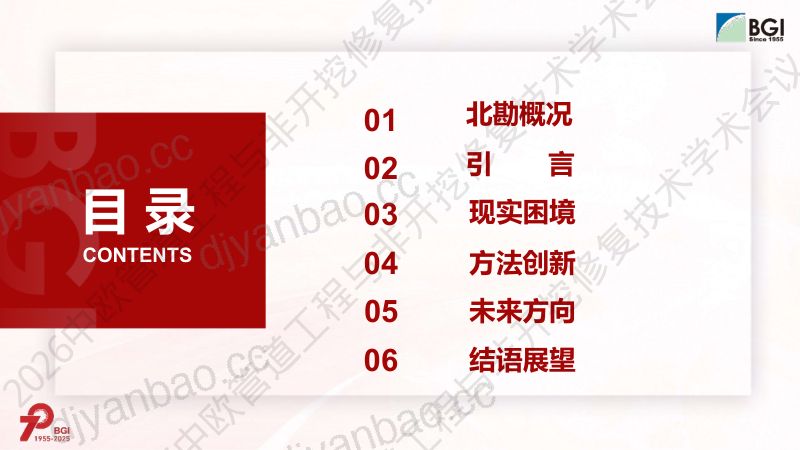 王宏涛-城市排水管网排查的现实困境方法创新与未来方向 第2页