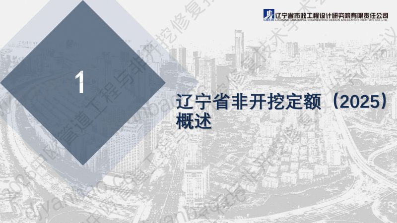 张力元-辽宁省非开挖工程项目造价管理应用实践与对策 第3页
