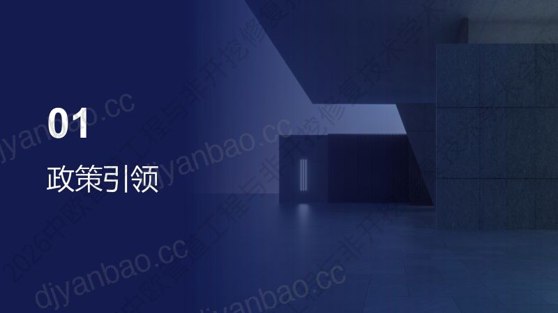 张军-十五五及两新两重背景下地下管网行业分析 第3页