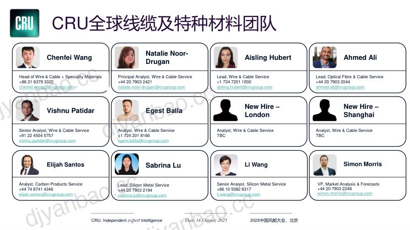 CWP2025-全球高压超高压海缆需求保持高速增长然地区间供需平衡存在潜在风险1 第2页