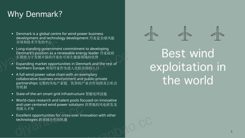 CWP2025-丹麦风电产业情况及投资机会介绍1 第3页
