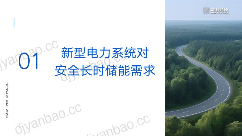 CWP2025-钒液流储能为新能源并网稳定护航1 第3页