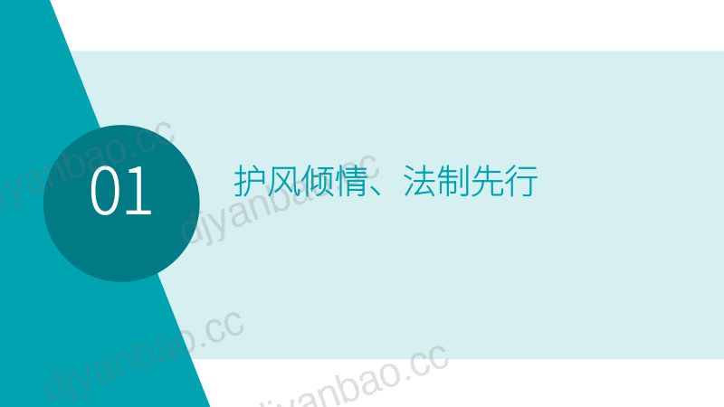 护风倾情法制先行1 第3页