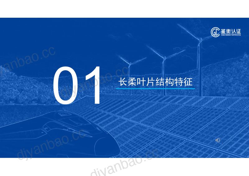 CWP2025-2大型长柔风电叶片新型失效模式分析与设计验证方法-鉴衡-谢利来 第3页