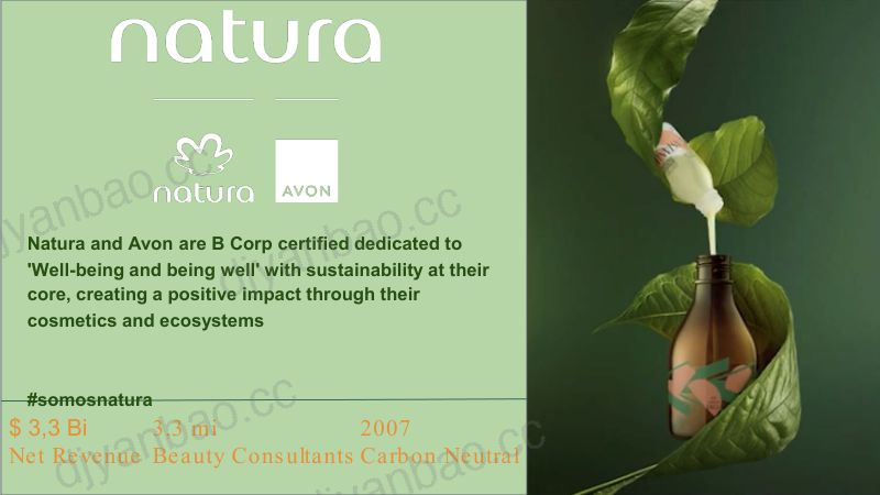 Natura处理Databricks上的敏感数据 第2页