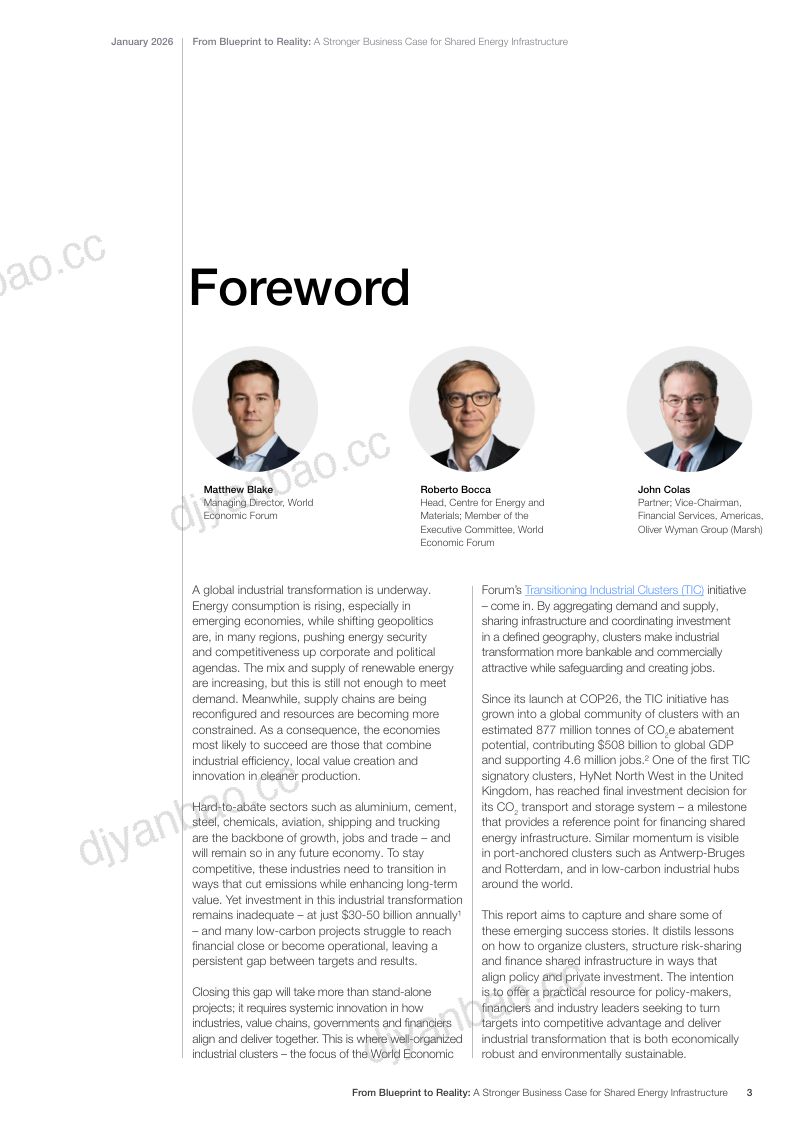 世界经济论坛2026从蓝图到现实为共享能源基础设施构建更坚实的商业依据白皮书英文版46页 第3页