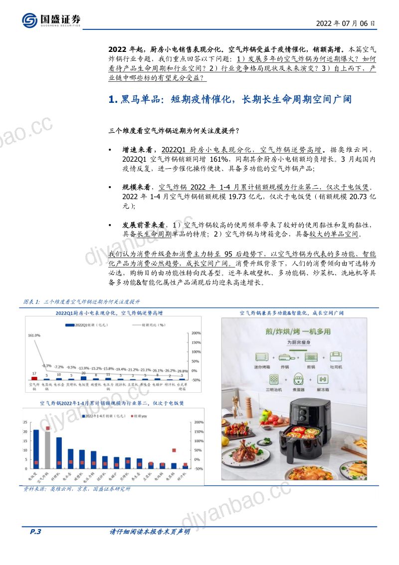 家用电器行业深度乘风破浪的空气炸锅行业篇-22070620页 第3页