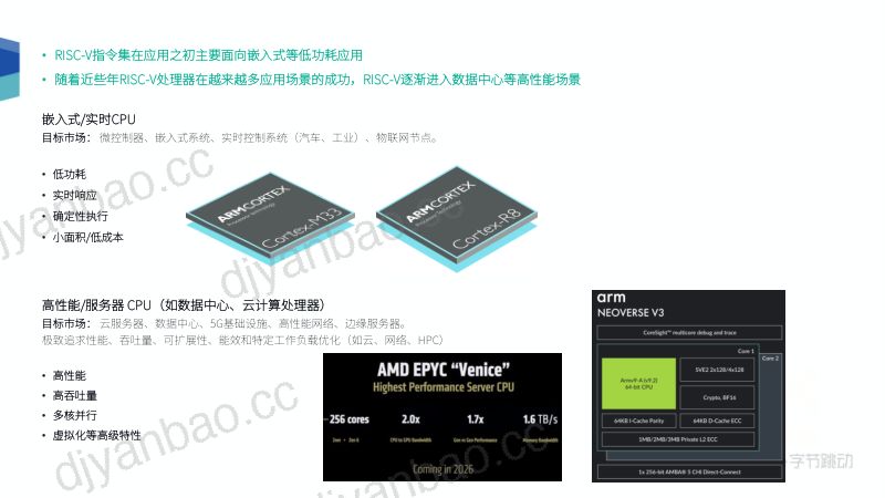 15.RISC-V基础指令集在数据中心场景的评估和展望 第3页
