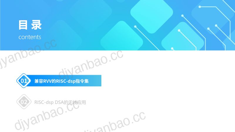 8.DSP领域最新RISC-V指令集及DSA在无线领域中的创新应用 第2页
