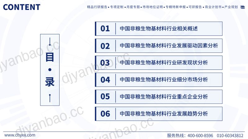 【智研咨询】2025年中国非粮生物基材料行业研发现状及未来前景研判报告 第2页