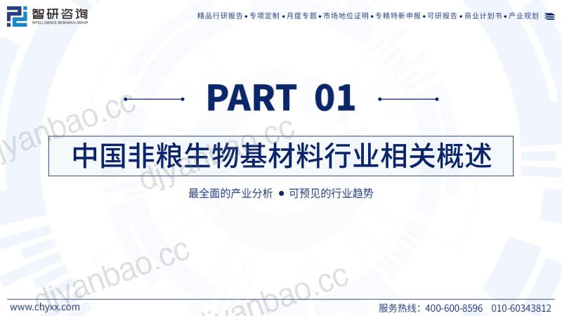 【智研咨询】2025年中国非粮生物基材料行业研发现状及未来前景研判报告 第3页