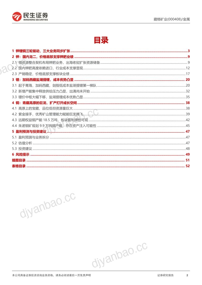 【民生证券】深度报告:钾锂铜三轮驱动,成长空间大 第2页