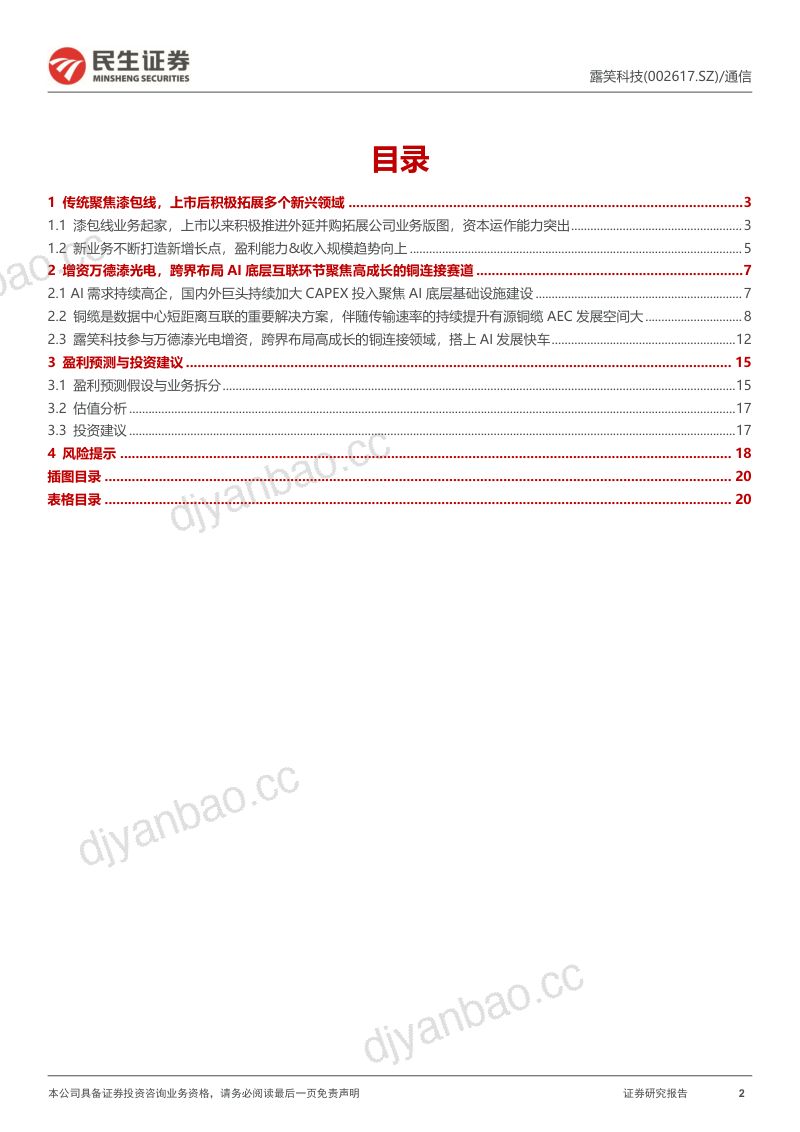 【民生证券】公司动态报告:跨界布局高成长的铜连接赛道,搭上AI发展快车 第2页