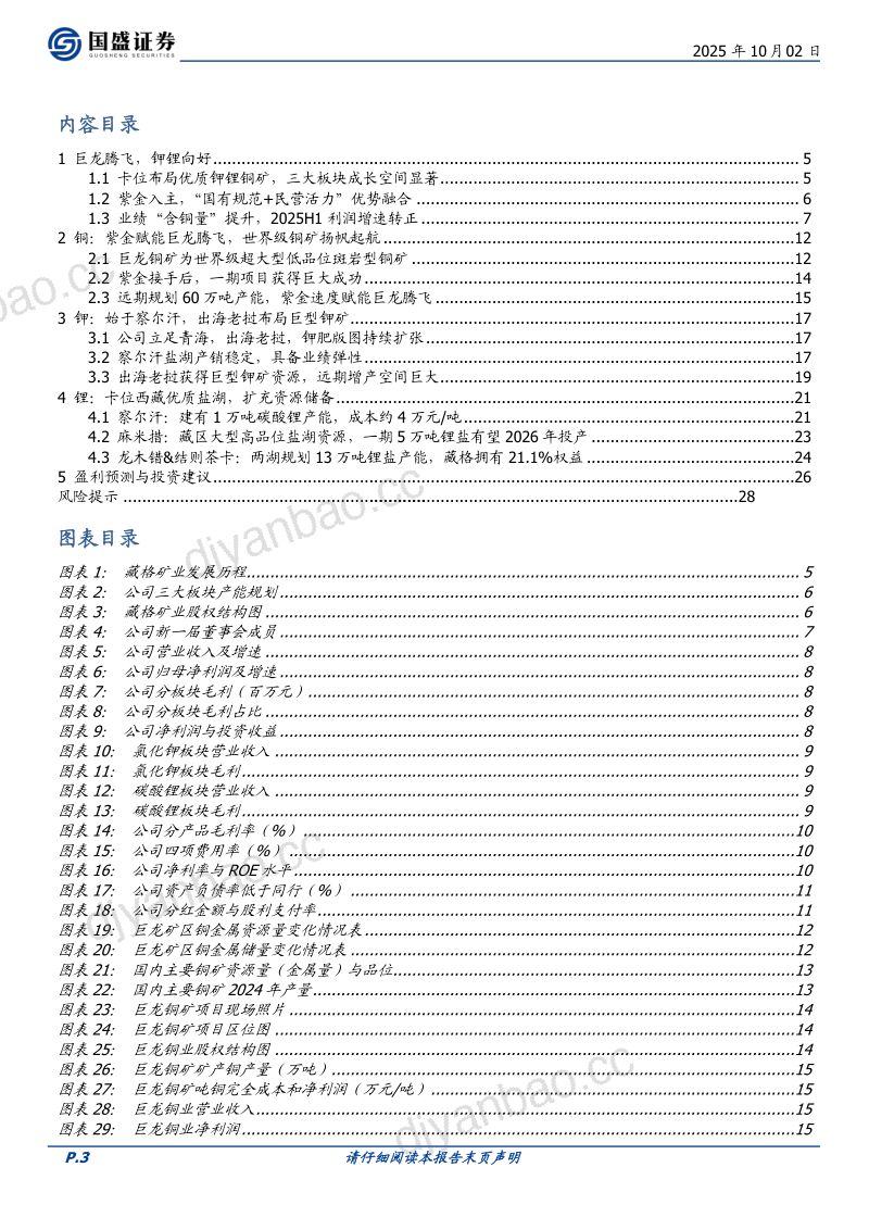 【国盛证券】首次覆盖报告:紫金赋能巨龙铜矿腾飞,钾锂优质资源卡位布局 第3页
