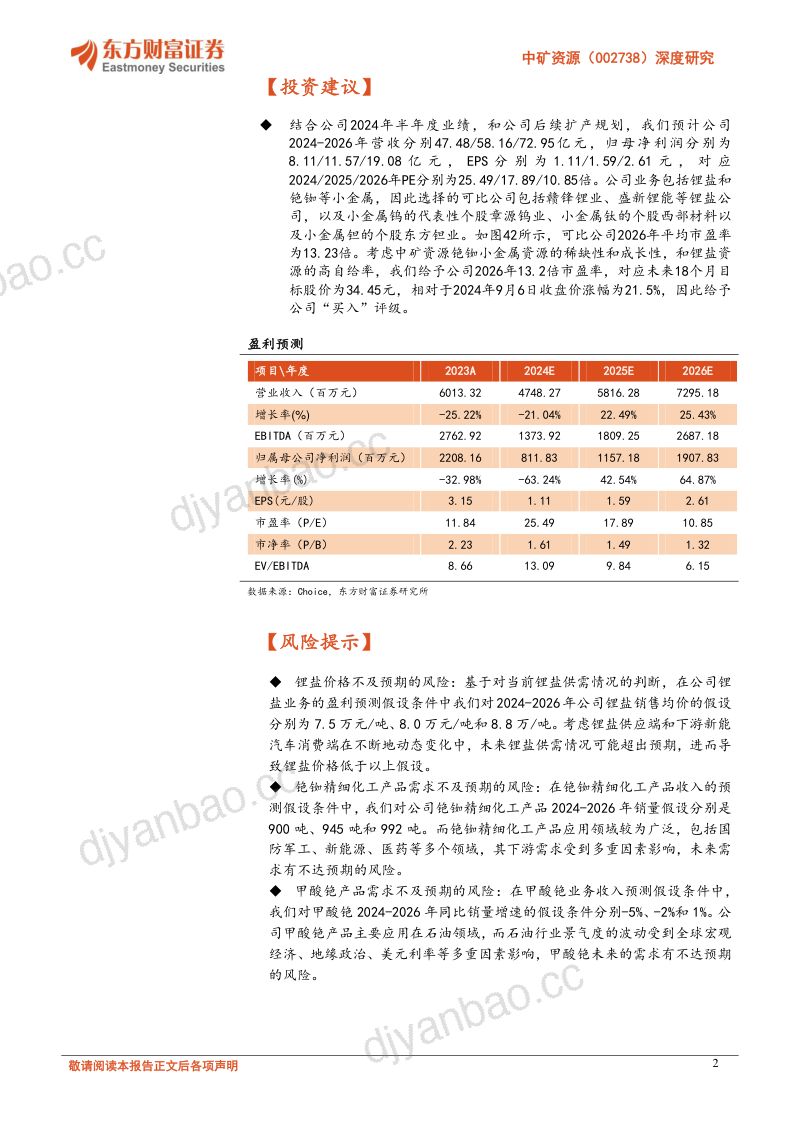 【东方财富】深度研究：锂铯铷版图成型，铜矿资源蓄力待发 第2页