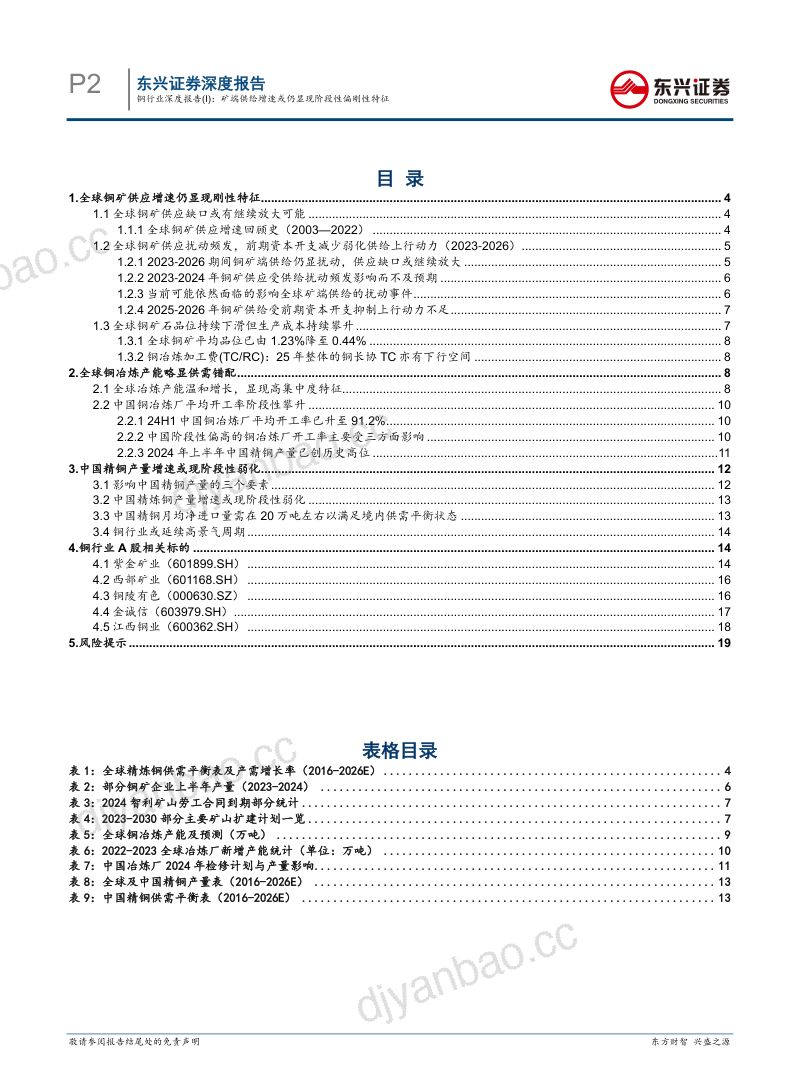 【东兴证券】铜行业深度报告(I):矿端供给增加工业金属,深度报告速或仍显现阶段性偏刚性特征 第2页