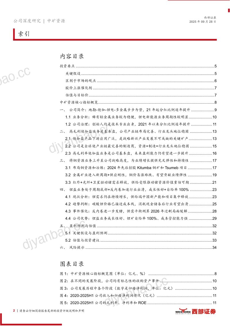 [西部证券]首次覆盖报告：地勘起家、铯铷为本、铜锂发力，打造有色多金属平台 第2页
