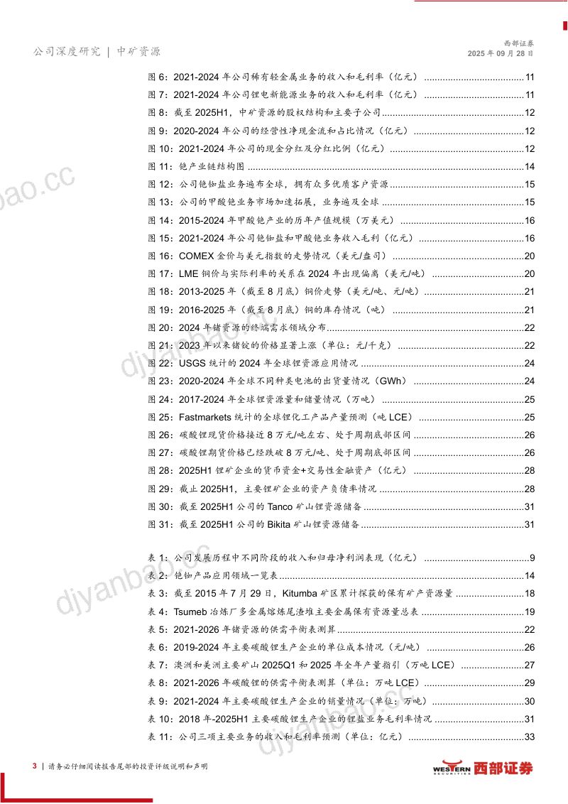 [西部证券]首次覆盖报告：地勘起家、铯铷为本、铜锂发力，打造有色多金属平台 第3页