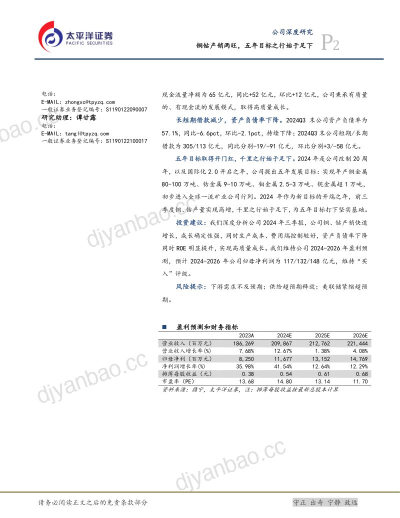 【太平洋证券】铜钴产销两旺,五年目标之行始于足下 第2页