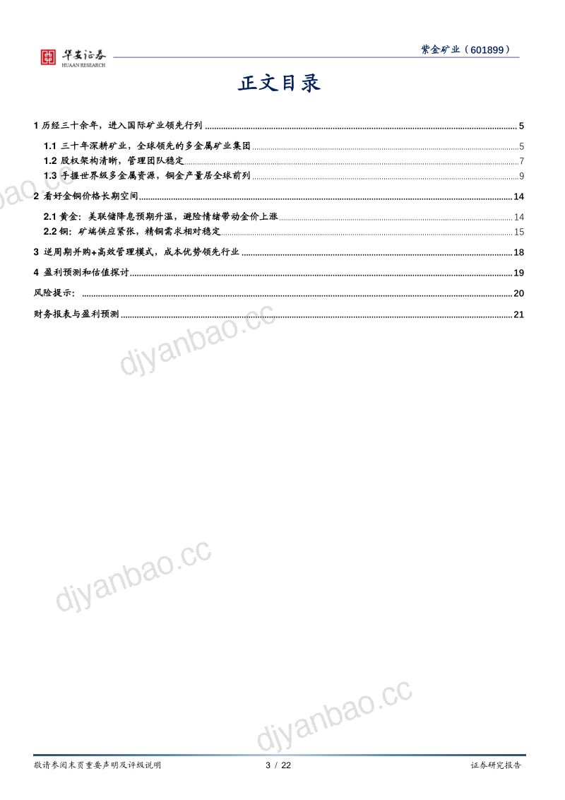 【华安证券】铜金矿山全球领先,新增项目持续释放 第3页
