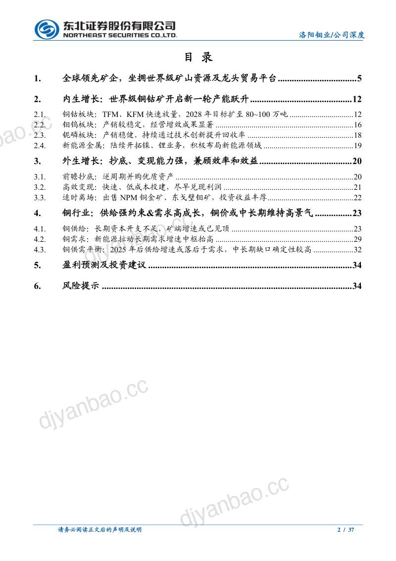 【东北证券】深度报告:开启新一轮铜产能扩张,进军全球一流矿企行列 第2页