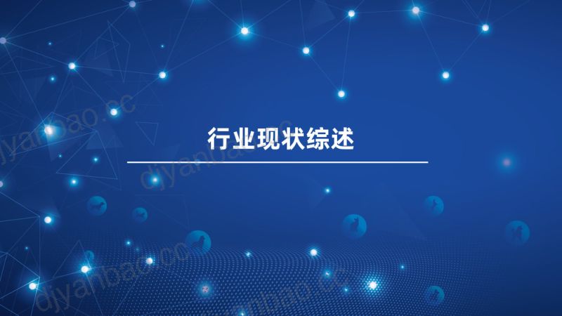 亚宠会2025宠物行业蓝皮书简版64页 第3页