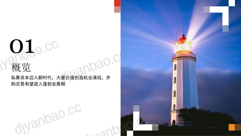 普华永道2024年全球并购趋势展望私募资本24页 第2页
