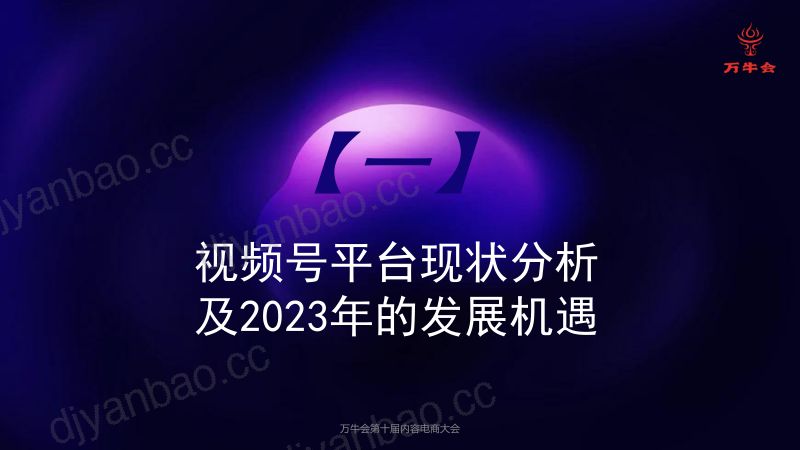 诸葛老詹穿越平台流量周期抢占视频号电商红利 第3页