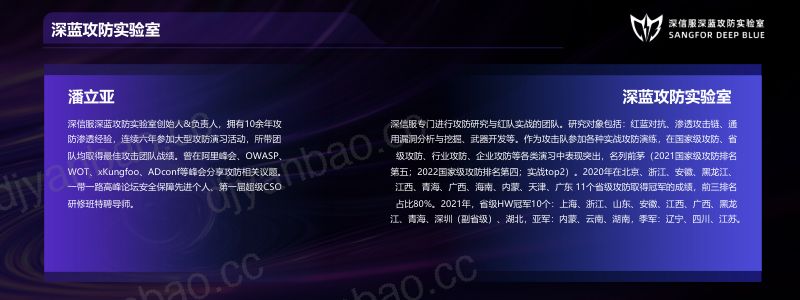 攻防实战策略剖析与对抗博弈潘立亚 第2页